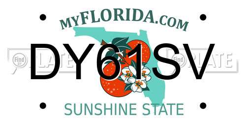 DY61SV Florida License Plate