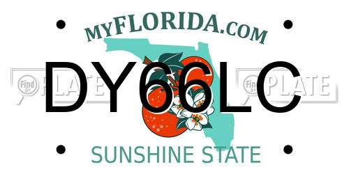 DY66LC Florida License Plate