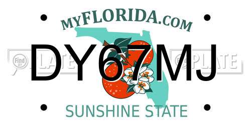 DY67MJ Florida License Plate