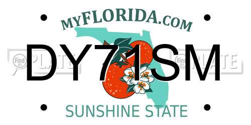DY71SM Florida License Plate