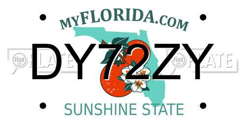 DY72ZY Florida License Plate