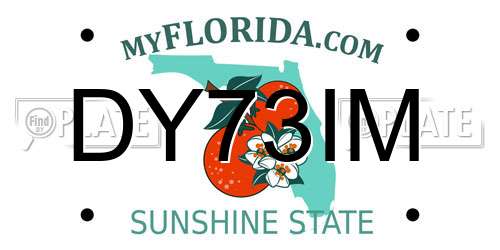 DY73IM Florida License Plate