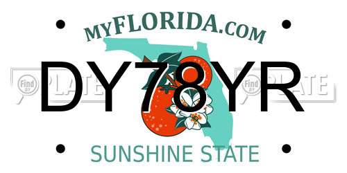 DY78YR Florida License Plate