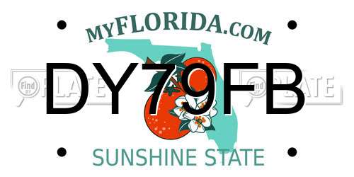 DY79FB Florida License Plate