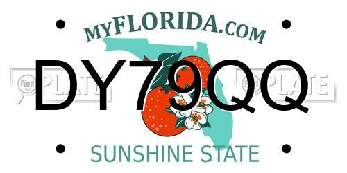 DY79QQ Florida License Plate