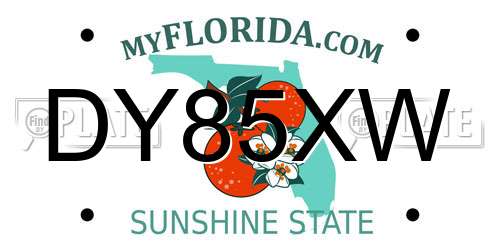 DY85XW Florida License Plate