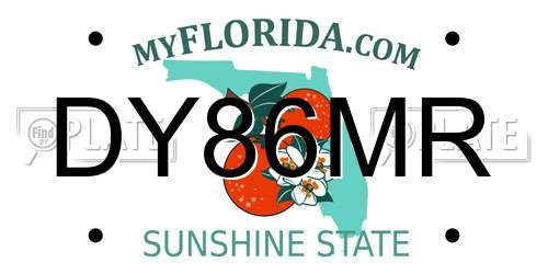 DY86MR Florida License Plate