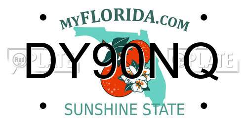DY90NQ Florida License Plate