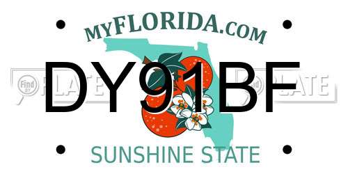 DY91BF Florida License Plate