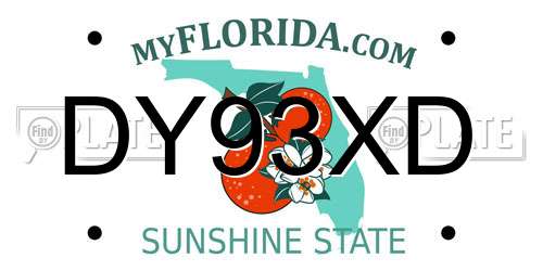 DY93XD Florida License Plate