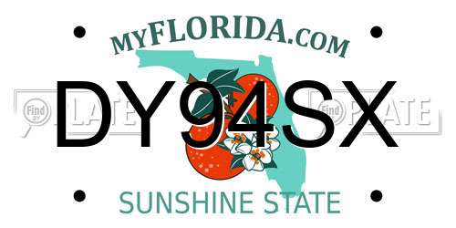 DY94SX Florida License Plate