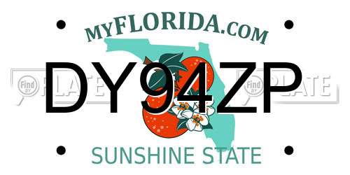 DY94ZP Florida License Plate