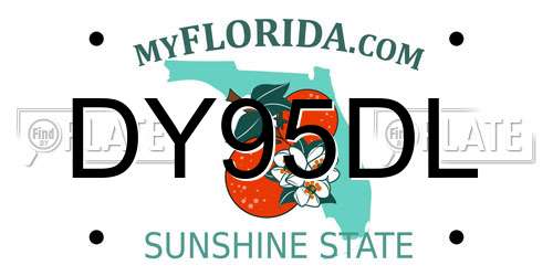 DY95DL Florida License Plate