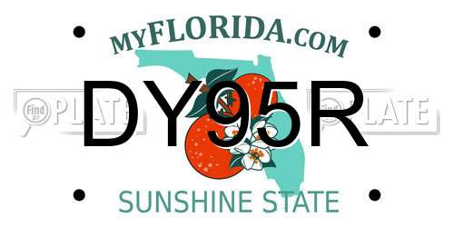 DY95R Florida License Plate