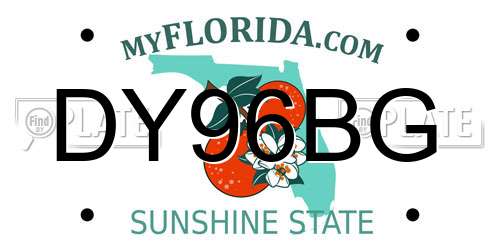 DY96BG Florida License Plate