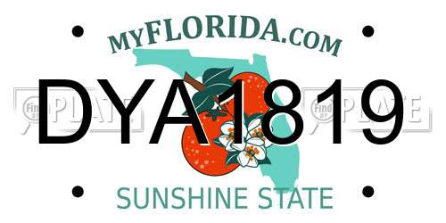 DYA1819 Florida License Plate