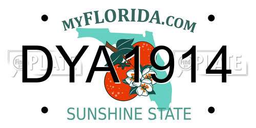 DYA1914 Florida License Plate