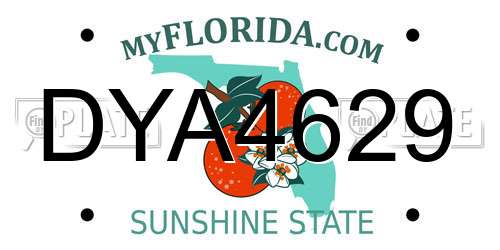 DYA4629 Florida License Plate