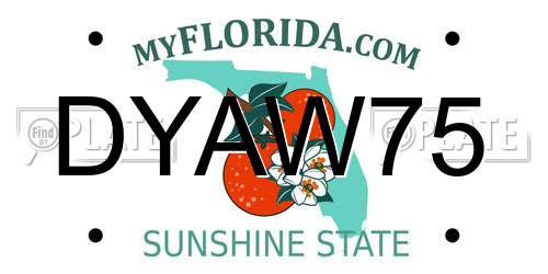 DYAW75 Florida License Plate
