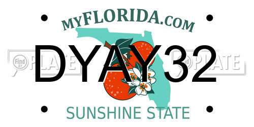 DYAY32 Florida License Plate