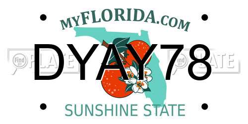 DYAY78 Florida License Plate