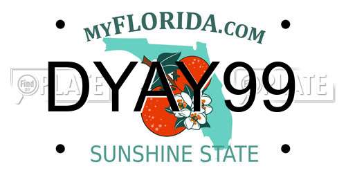 DYAY99 Florida License Plate