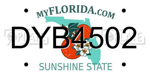 DYB4502 Florida License Plate