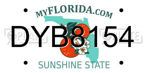 DYB8154 Florida License Plate