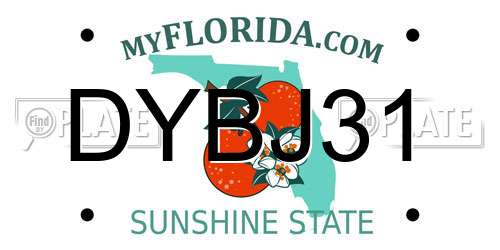 DYBJ31 Florida License Plate
