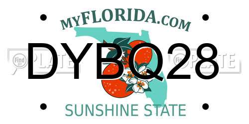 DYBQ28 Florida License Plate