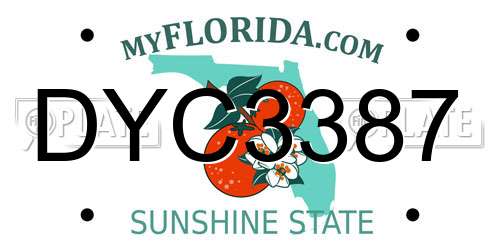 DYC3387 Florida License Plate