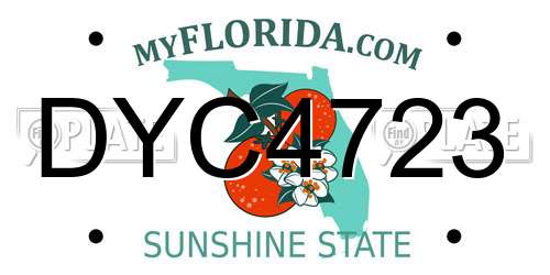 DYC4723 Florida License Plate