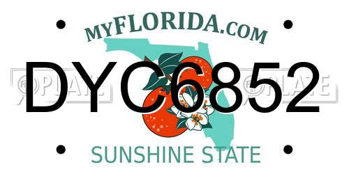 DYC6852 Florida License Plate