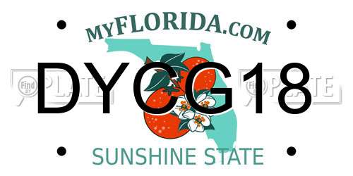 DYCG18 Florida License Plate