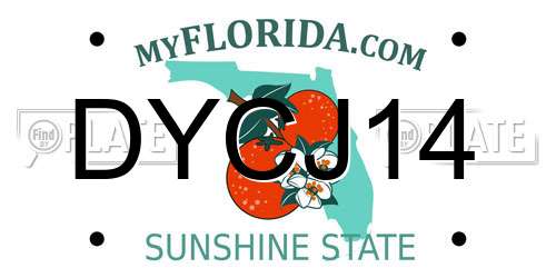 DYCJ14 Florida License Plate