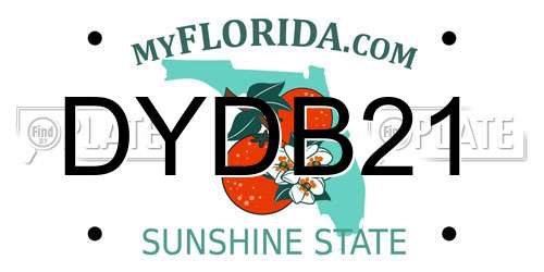 DYDB21 Florida License Plate