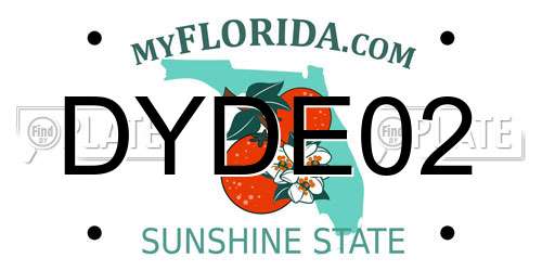 DYDE02 Florida License Plate