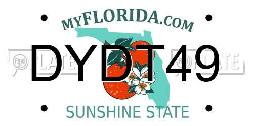 DYDT49 Florida License Plate