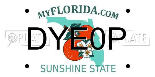 DYE0P Florida License Plate