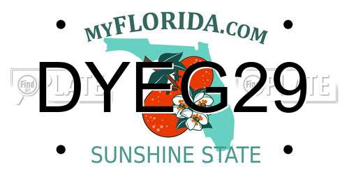 DYEG29 Florida License Plate