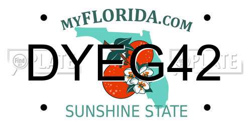 DYEG42 Florida License Plate