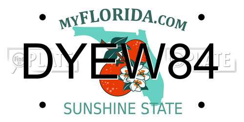 DYEW84 Florida License Plate