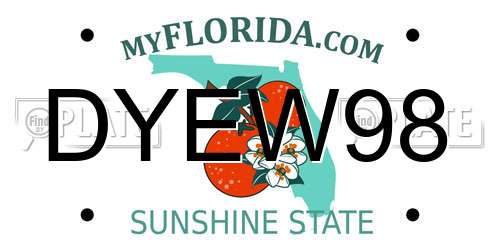 DYEW98 Florida License Plate