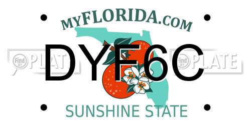 DYF6C Florida License Plate
