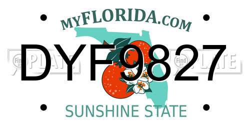 DYF9827 Florida License Plate