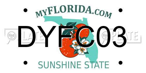 DYFC03 Florida License Plate