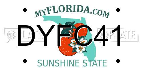 DYFC41 Florida License Plate