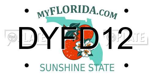 DYFD12 Florida License Plate