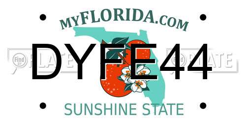 DYFE44 Florida License Plate