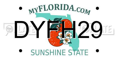 DYFH29 Florida License Plate